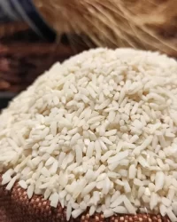 خرید_برنج