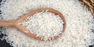 واردات-برنج