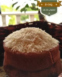 قیمت-و-خرید-برنج-ایرانی