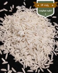 خرید-برنج-ایرانی-ارزان